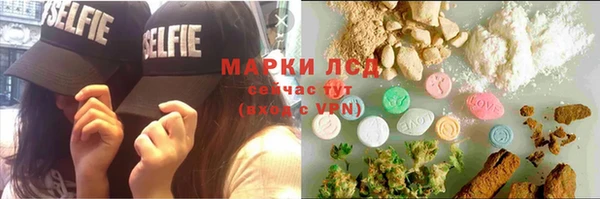 прущие крисы Горняк