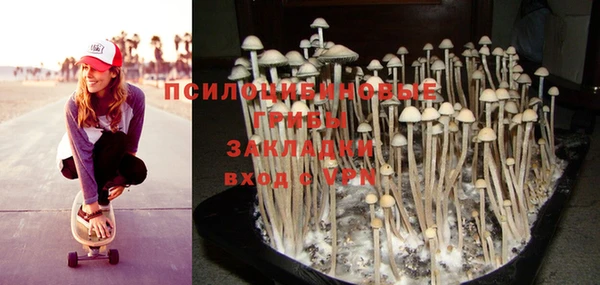 PSILOCYBIN Горнозаводск
