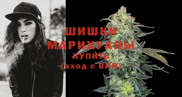 PSILOCYBIN Горнозаводск